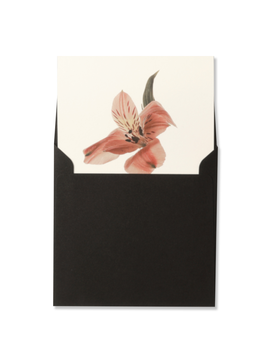 Flower Card Alstromeria 알스트로메리아