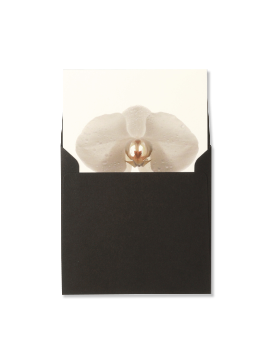 [재입고] Flower Card Moth Orchid 호접란